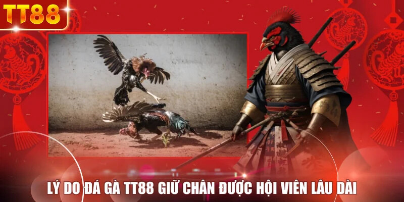 Lý do đá gà TT88 giữ chân được hội viên lâu dài